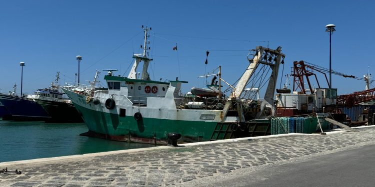 Federpesca: al MASAF per gruppo di lavoro revisione sistema sanzionatorio pesca