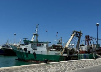Federpesca: al MASAF per gruppo di lavoro revisione sistema sanzionatorio pesca