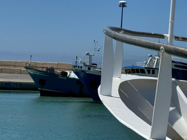 Fermo pesca, soddisfazione di Fedagripesca