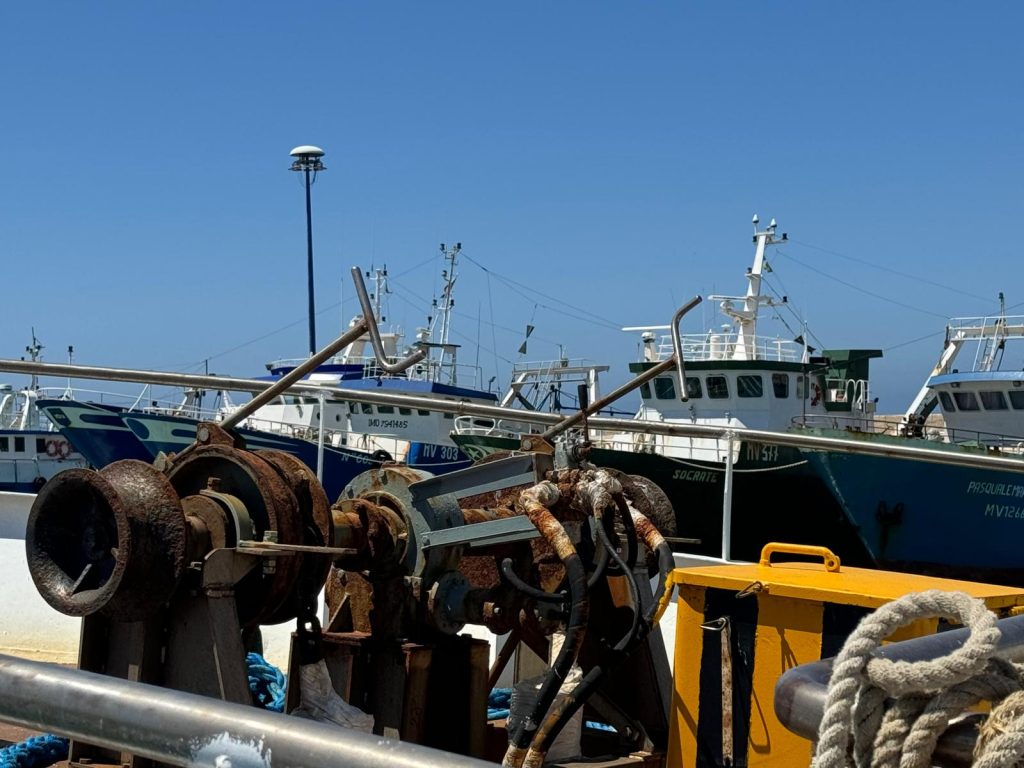 Unci AgroAlimentare: nuovo decreto fermo offre opportunità alla pesca