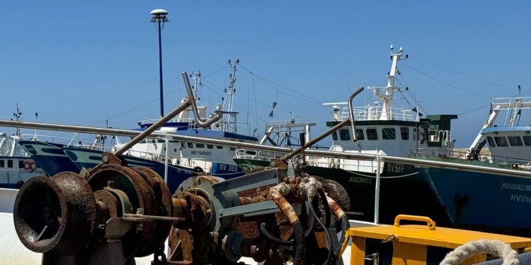 Unci AgroAlimentare: nuovo decreto fermo offre opportunità alla pesca