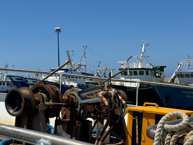 Unci AgroAlimentare: nuovo decreto fermo offre opportunità alla pesca