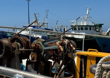 Unci AgroAlimentare: nuovo decreto fermo offre opportunità alla pesca