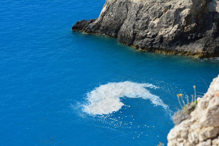 Scognamiglio: mucillagine aggrava crisi pesca