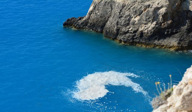 Scognamiglio: mucillagine aggrava crisi pesca