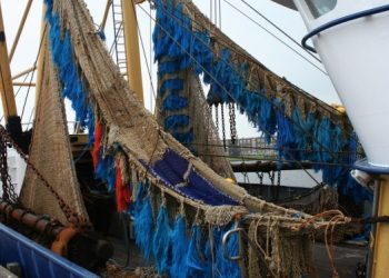 UE sollecitata a difendere piano d’azione clima nel quadro dell’ICCAT