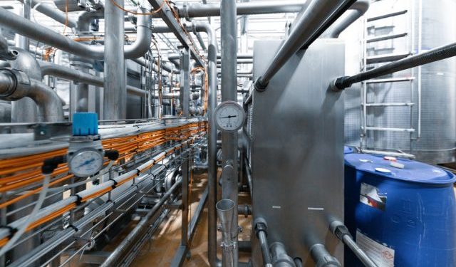 Ottimismo nella produzione di farina e olio di pesce nel 2024