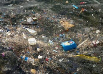 Scienza e Pesca insieme per affrontare la minaccia dei rifiuti marini