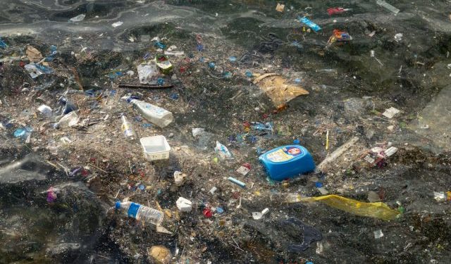 Scienza e Pesca insieme per affrontare la minaccia dei rifiuti marini