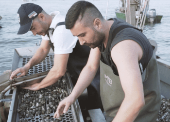 Le carriere blu per un'economia del mare sostenibile