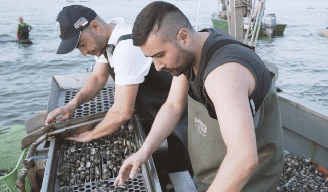 Le carriere blu per un'economia del mare sostenibile