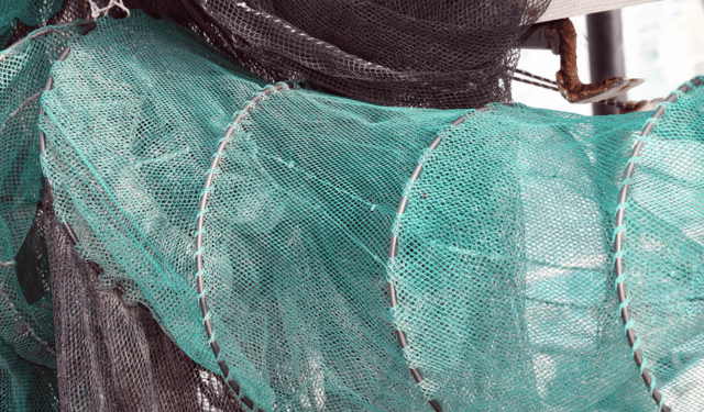 Manuale degli attrezzi da pesca utilizzati dalla flotta dell’UE