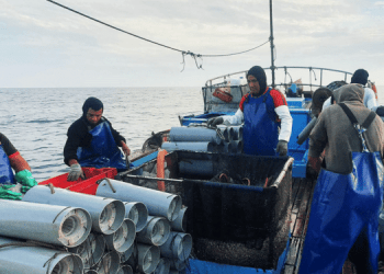 Nuovi finanziamenti MSC a supporto della pesca sostenibile