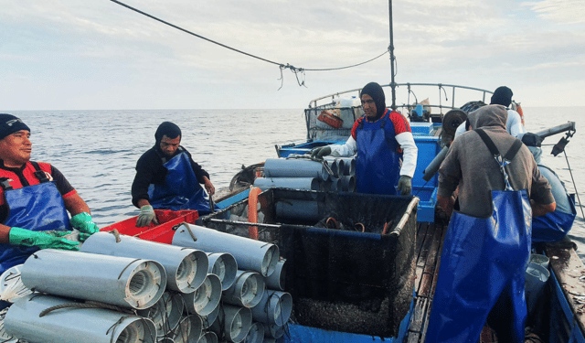 Nuovi finanziamenti MSC a supporto della pesca sostenibile