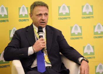 In settimana la nomina del commissario per il granchio blu