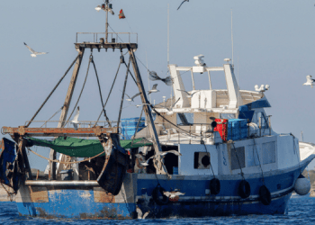 Pubblicata relazione della Commissione su misure tecniche per la pesca