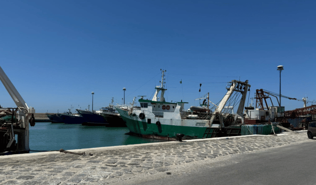 Scognamiglio: incentivi dismissione vecchie imbarcazioni consentono pesca responsabile e sicura