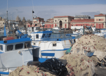 Scognamiglio: varato tavolo nazionale politiche comuni pesca e agricoltura