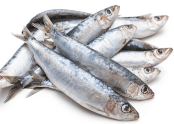 Sostituire la carne rossa con le sardine per migliorare la salute