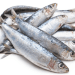 Sostituire la carne rossa con le sardine per migliorare la salute