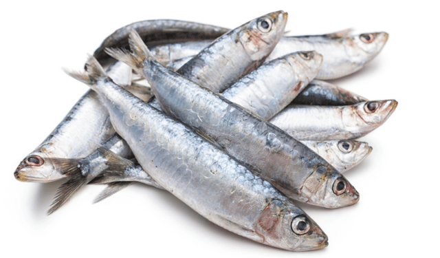 Sostituire la carne rossa con le sardine per migliorare la salute