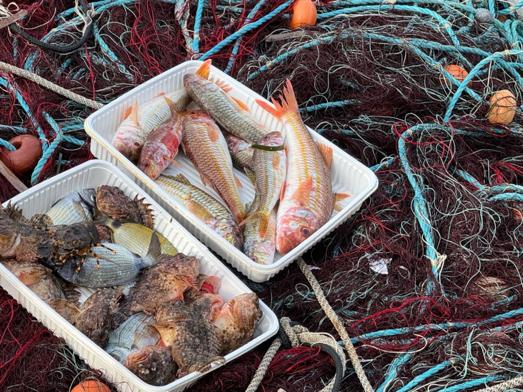 Allarme WWF per le risorse ittiche in vista del Fish Dependence Day