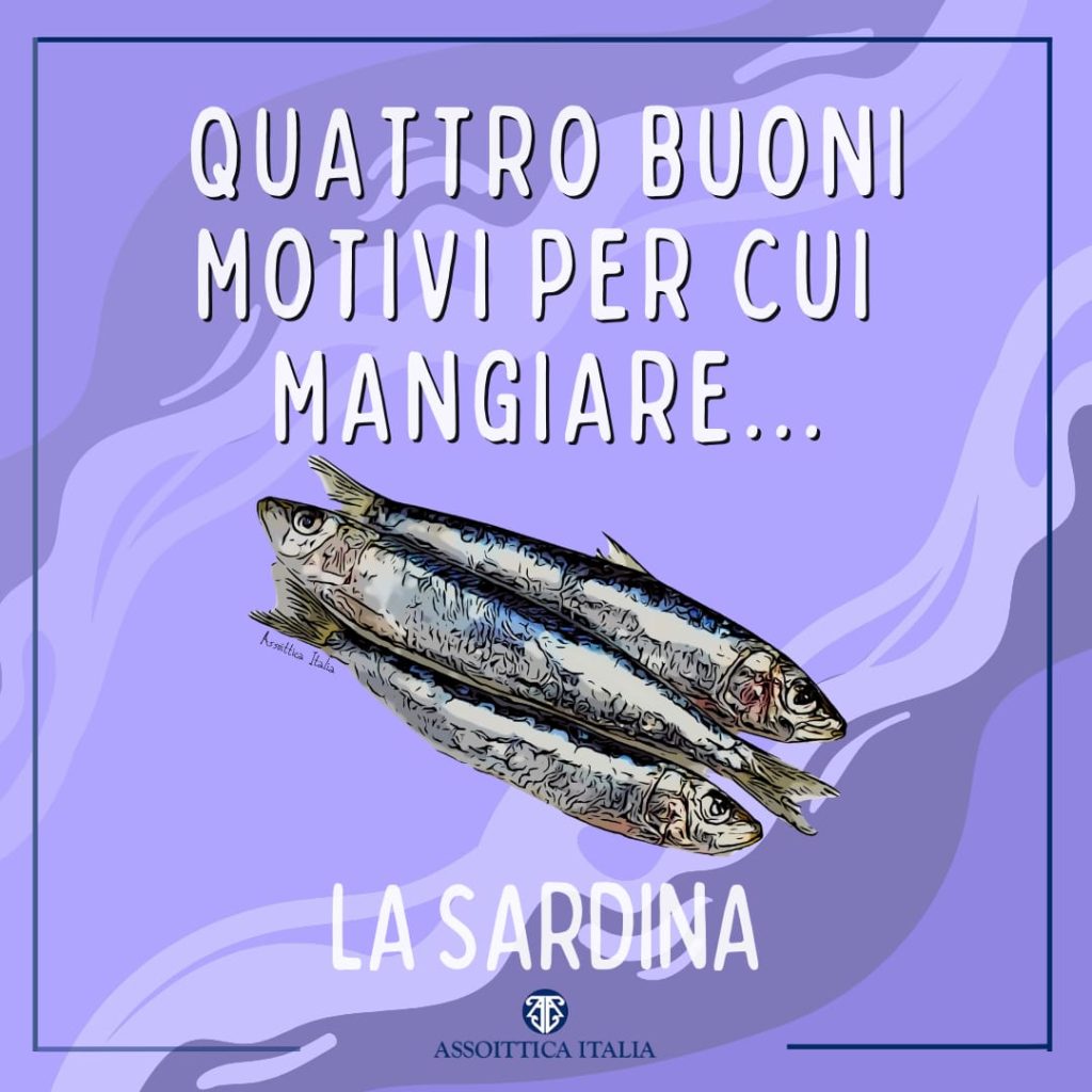 Campagna di sensibilizzazione per un consumo consapevole di prodotti ittici