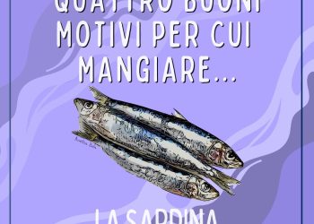 Campagna di sensibilizzazione per un consumo consapevole di prodotti ittici