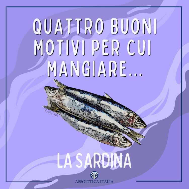 Campagna di sensibilizzazione per un consumo consapevole di prodotti ittici