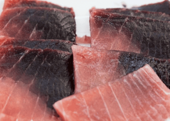 Chiai, da scarto del tonno a potente antiossidante