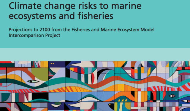FAO, i rischi climatici potrebbero avere un impatto sulla biomassa ittica