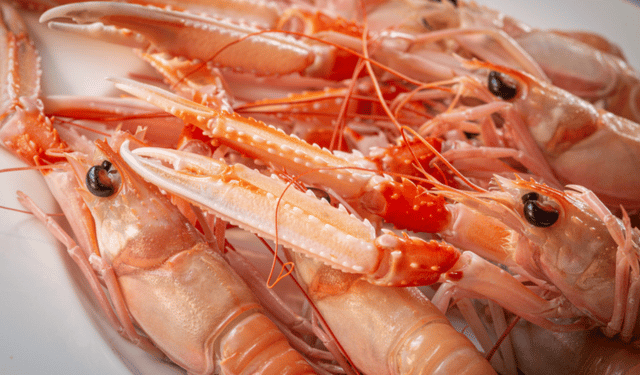 Nel Mediterraneo a rischio gli stock di nasello e scampi 