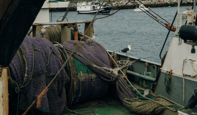 Adattamento dell'industria ittica ai cambiamenti climatici