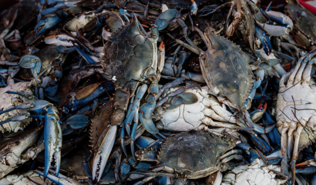 Caterino. Priolo e Mammi: "Una nomina attesa da tempo"