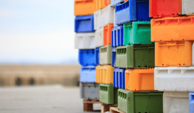 Certificazione elettronica per esportazioni ittiche dalla Russia alla Cina