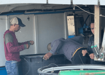 Fai Cisl, Flai Cgil e Uila Pesca: approvata piattaforma rinnovo CCNL