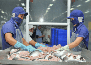 In ripresa le esportazioni di pangasio vietnamita