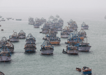 India: un industria ittica in forte espansione 