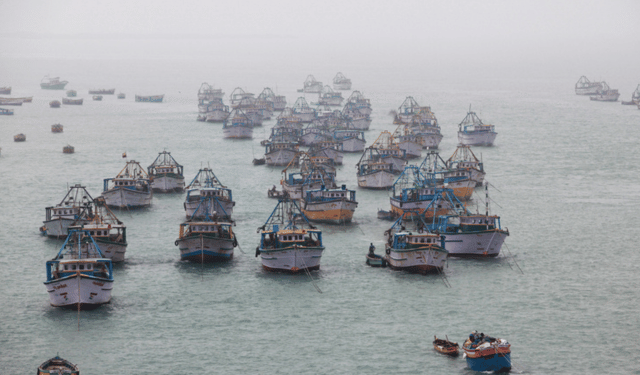 India: un industria ittica in forte espansione 