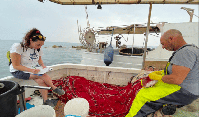 Interazione tra delfini e altre specie vulnerabili con la pesca