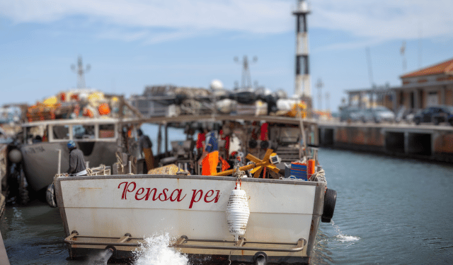 Legacoop e le marinerie a supporto della Marecchia Sailing Cup