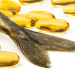 Olio di pesce: un alleato versatile per la salute