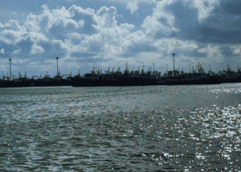 Ripristino della Natura: due anni per presentare i piani nazionali