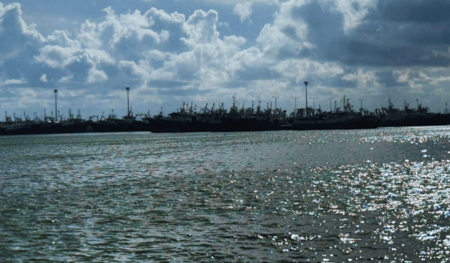 Ripristino della Natura: due anni per presentare i piani nazionali