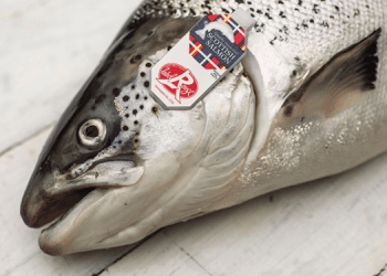 Salmone scozzese: export a livelli record