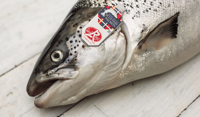 Salmone scozzese: export a livelli record