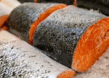 Raccomandazioni del MAC sul commercio ittico UE-Norvegia