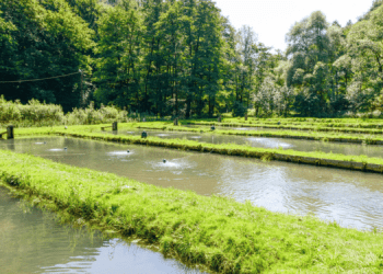 Allevamenti ittici, differenze tra intensivo, estensivo e semi-estensivo