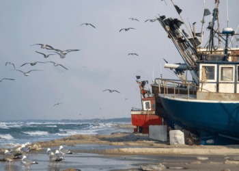 Baltico: Europêche chiede soluzioni oltre i tagli alle quote pesca