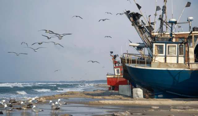 Baltico: Europêche chiede soluzioni oltre i tagli alle quote pesca